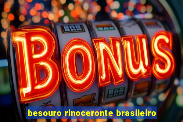 besouro rinoceronte brasileiro